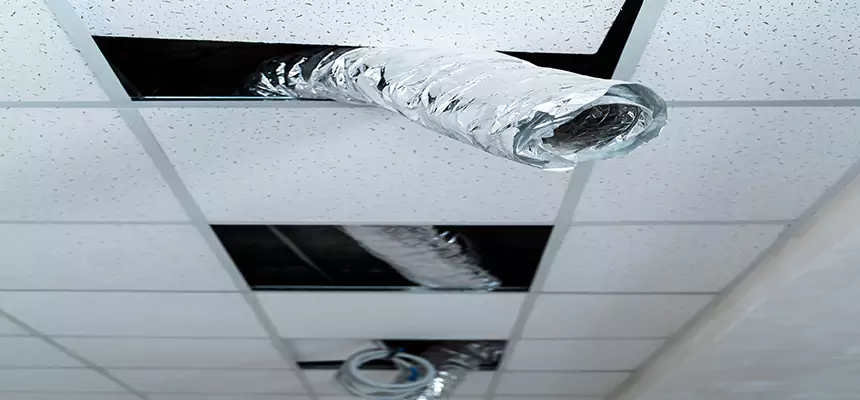 Our Air Duct Pet Hair Removal Services in San Leandro, CA