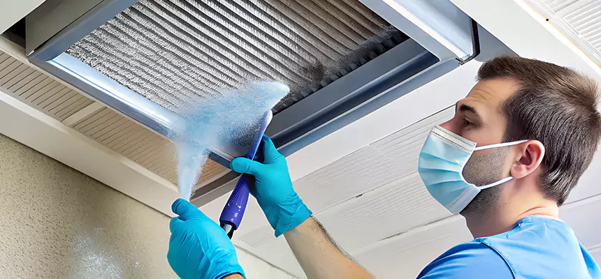 Proactive Dryer Vent & Auxiliary Duct Pollen Cleanup in San Leandro, CA