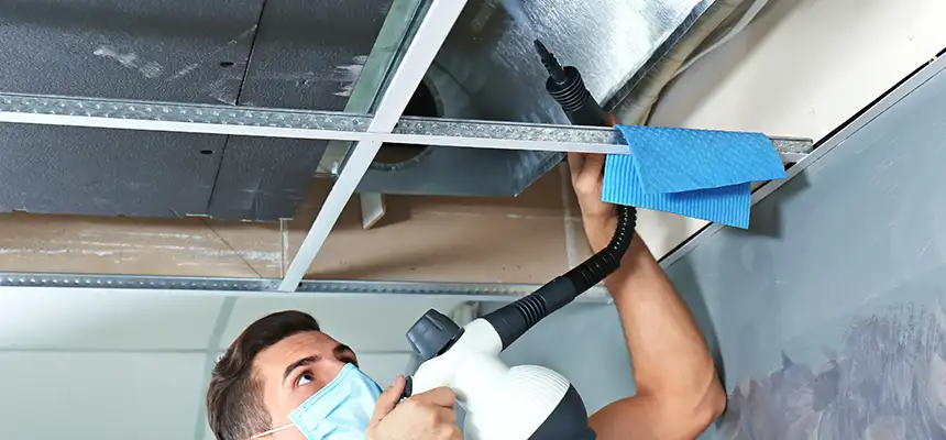 Our Air Duct Rodent Removal Services in San Leandro, CA