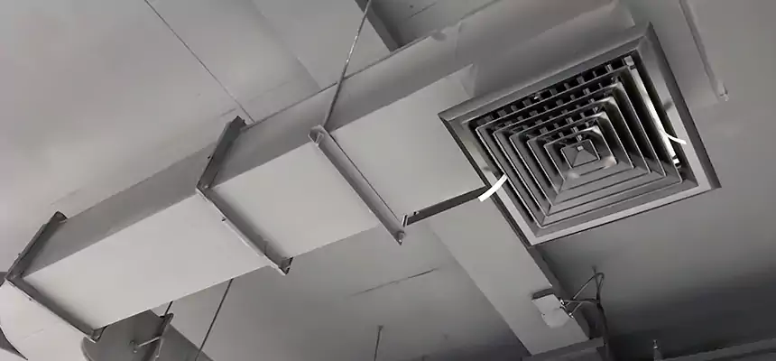 Restorative Allergy Relief Vent Cleaning – Coil, Blower & Housing Detail in San Leandro