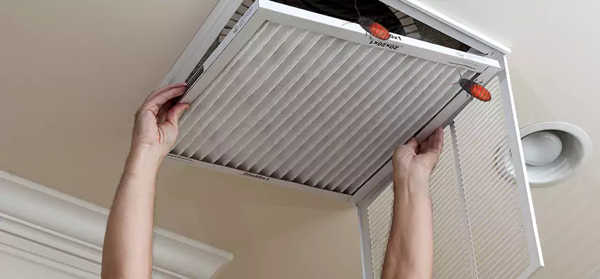 Our Insect Removal from Air Ducts Services in San Leandro, CA