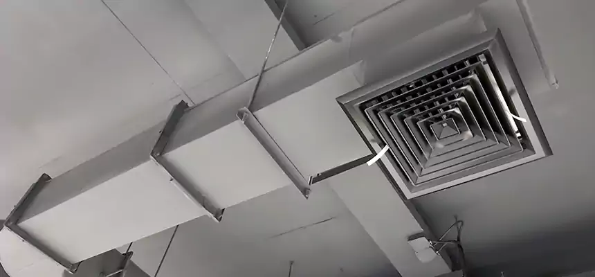 Our Pest Removal From Ducts Services in San Leandro, CA