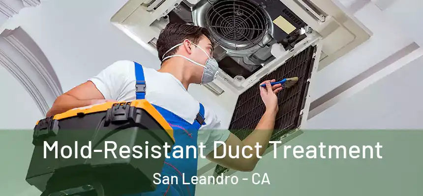  Mold-Resistant Duct Treatment San Leandro - CA