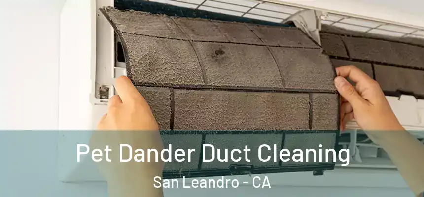 Pet Dander Duct Cleaning San Leandro - CA