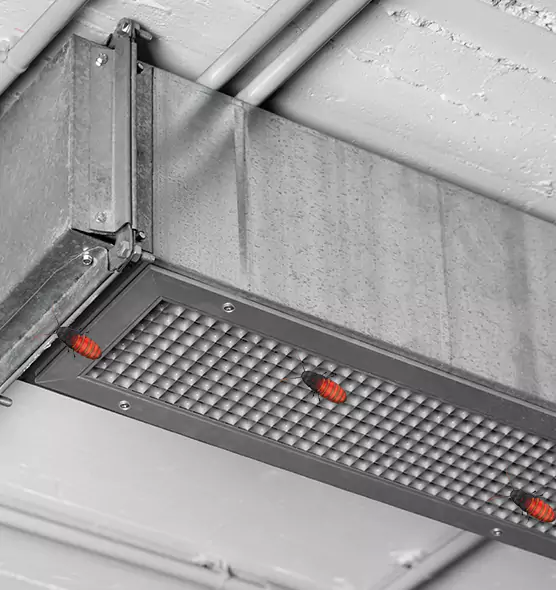 Affordable Insect Removal from Air Ducts in San Leandro, CA