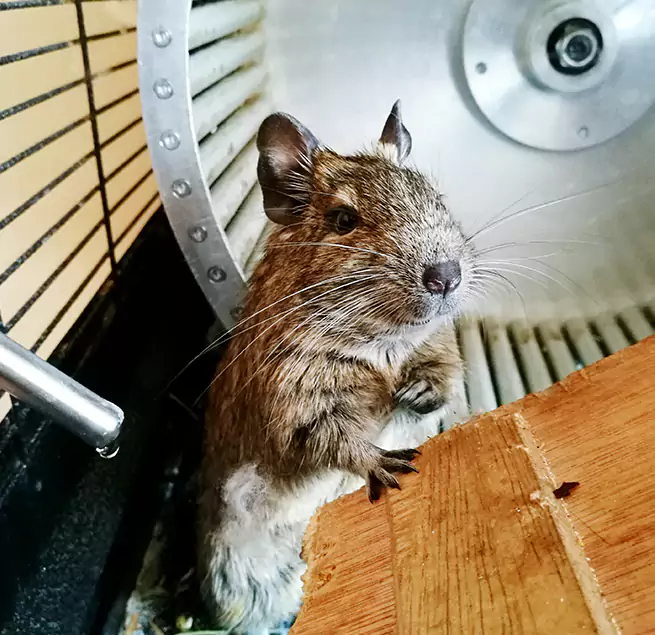 Why Homeowners & Businesses Trust Us San Leandro, CA