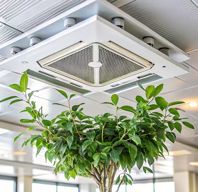 Why Homeowners & Businesses Trust Us in San Leandro, CA?