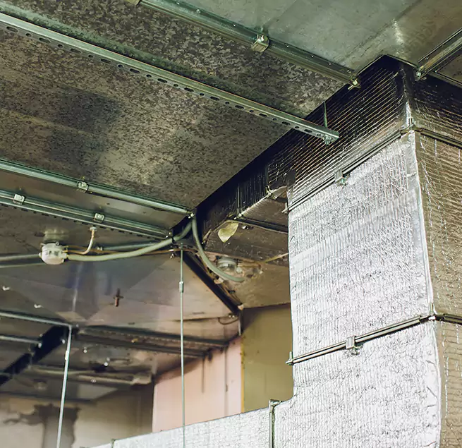 Why Homeowners & Businesses Trust Us in San Leandro, CA?